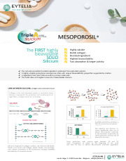 MESOPOROSIL®