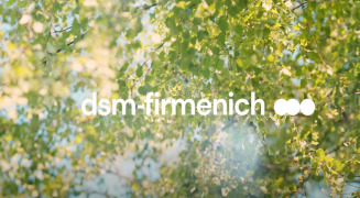 dsm-firmenich presents The Dream Catchers